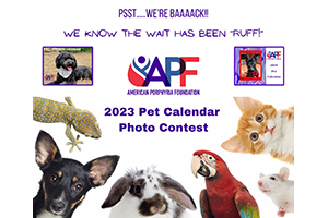 APF 2023 Pet Calendar Contest