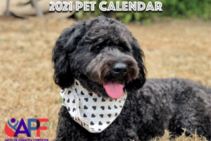 Get Your 2021 APF Pet Calendar!